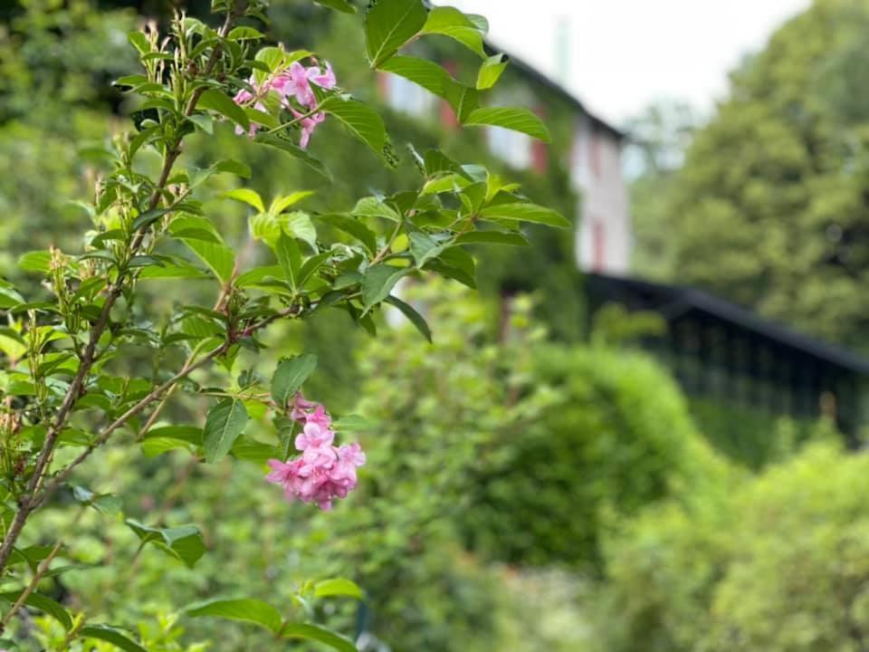 Les Grillons Du Morvan Montsauche-les-Settons Kültér fotó